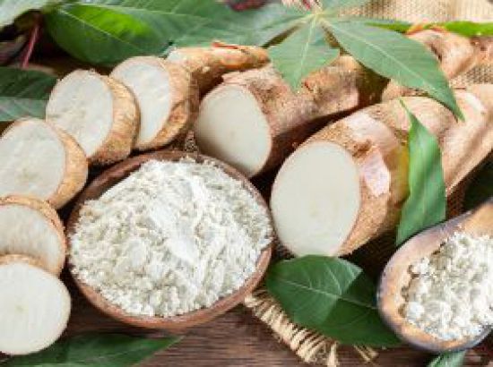 Native Tapioca Starch